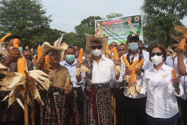 Kunker Gubernur NTT Ke Sulamu, Pemkab Kupang Sampaikan Terima Kasih Atas Program TJPS 8 IMG 20210322 WA0133