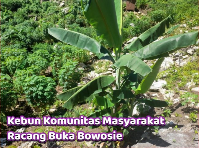 IMG 20211022 WA0059