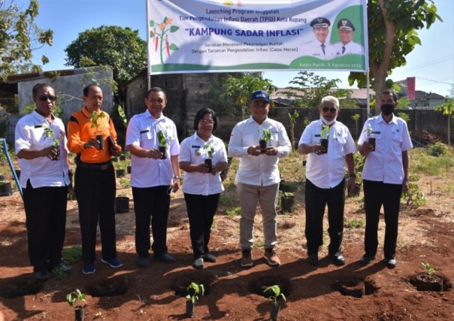 Wawali Kota Kupang Launching Kampung Sadar Inflasi di Kelurahan Kayu Putih 2 WhatsApp Image 2022 08 03 at 19.30.21