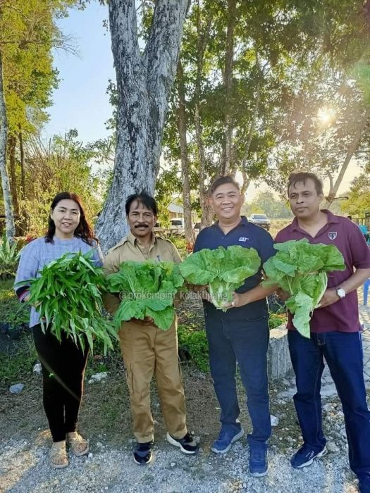 Mini Garden, Ide Briliant Penjabat Wali Kota untuk Mempercantik Kota Kupang 8 IMG 20230711 WA0057 e1689045445106