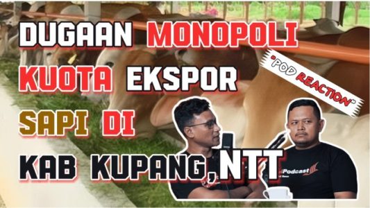 Dugaan Monopoli: Kuota Ekspor Sapi Turun, Pengusaha Serbu Dinas Peternakan Kabupaten Kupang.! 7 IMG 20240502 WA0047 e1714708328330
