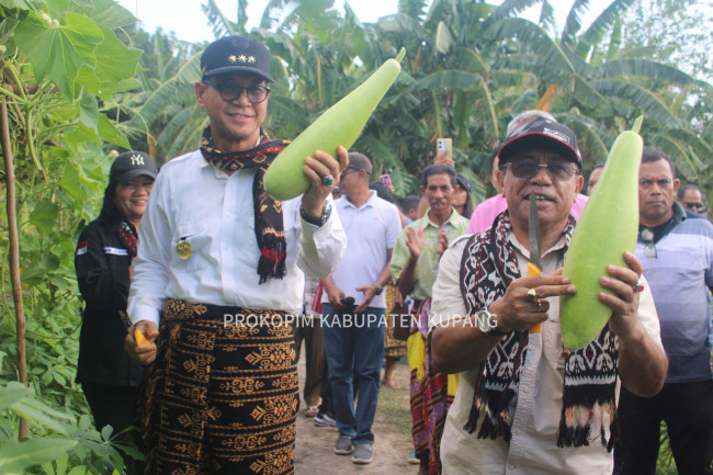 Pj. Gubernur NTT Dorong Kabupaten Kupang Jadi Lumbung Pangan di Tengah Tantangan Iklim 8 IMG 20241022 WA0018