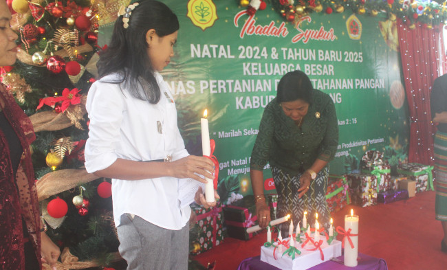 Momentum Syukuran Natal 2024, Dinas Pertanian Kupang Kukuhkan Petani Milenial untuk Swasembada Pangan 2 IMG 20250113 WA0008 1