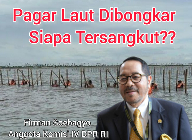 Pagar Laut Dibongkar, Nama-Nama Pemilik Terungkap? DPR Akan Bertindak! 1 InShot 20250123 091503369