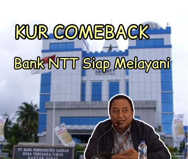 5 Tahun Menanti, Bank NTT Akhirnya Bangunkan KUR dari Tidur Panjang 6 InShot 20250201 073503473