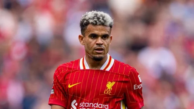 Barcelona Incar Luis Díaz sebagai Target Utama di Bursa Transfer Musim Panas 3 luis diaz liverpool fc 141024 1
