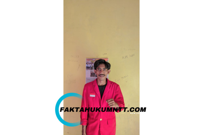 GMNI Malaka Kecam Keras Pemberhentian Sepihak Dua Kades Oleh Bupati Malaka 7 Sekretaris GMNI Carteker Cabang Malaka, Fransiskus Pega Dewa