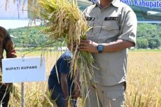 bupati-yosef-lede-jangan-korbankan-petani
