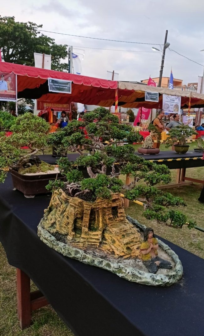 Spektakuler! 200 Bonsai Unik Ramaikan HUT Gunungsitoli ke-347 2 IMG 20250522 003958