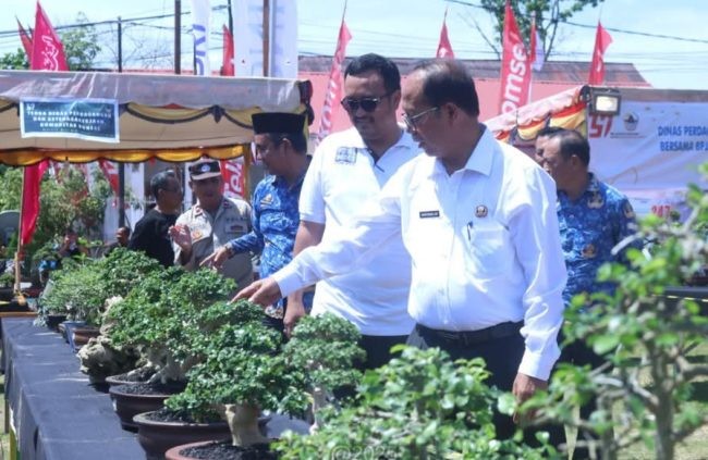 Spektakuler! 200 Bonsai Unik Ramaikan HUT Gunungsitoli ke-347 7 IMG 20250522 152252