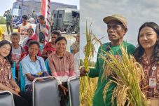 air-mata-di-balik-tangkai-padi-suara-hati-petani-di-panen-raya-babau