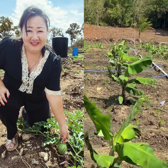 kebun-jane-belu-laboratorium-hidup-swasembada-skala-kecil-ala-jane-natalia-untuk-pertanian-perikanan-dan-peternakan-ntt