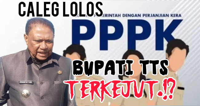 skandal-pppk-tts-5-eks-caleg-lolos-diam-diam-bupati-kaget