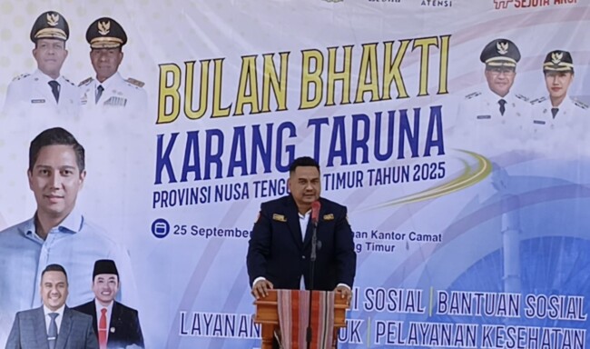 wildrian-ronald-otta-karang-taruna-jadi-garda-terdepan-pemberdayaan-pemuda-ntt