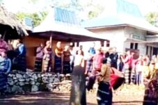 diduga-lakukan-upacara-gawi-ilegal-di-desa-kurusare-dua-warga-kecamatan-lepekes-dipolisikan-sengketa-adat-tanah-moni-memanas