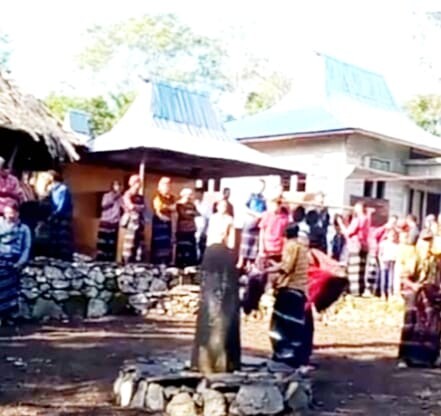 diduga-lakukan-upacara-gawi-ilegal-di-desa-kurusare-dua-warga-kecamatan-lepekes-dipolisikan-sengketa-adat-tanah-moni-memanas