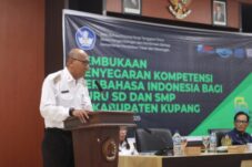 bahasa-yang-menghidupkan-kelas-cerita-di-balik-penyegaran-kompetensi-guru-sd-dan-smp-se-kabupaten-kupang
