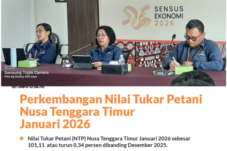 tergerus-tekanan-harga-ntp-ntt-januari-2026-turun-ke-10111-daya-beli-petani-melemah