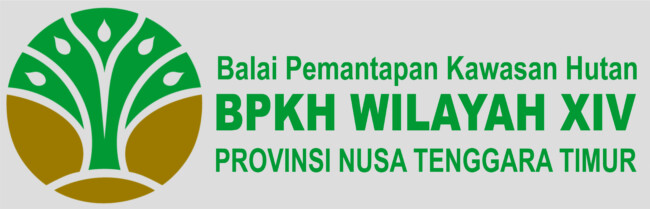 menuju-kepastian-hukum-bpkh-fokus-tuntaskan-penataan-batas-kawasan-hutan-ntt