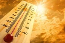 el-nino-diprediksi-menguat-2026-berpotensi-jadi-tahun-terpanas-kedua-di-dunia