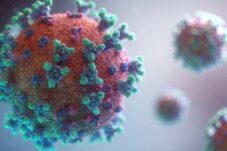 epidemiolog-ungkap-kelompok-yang-paling-rentan-terpapar-hantavirus