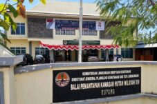 hari-lingkungan-hidup-sedunia-2026-bpkh-wilayah-xiv-kupang-saatnya-bergerak-nyata-menjaga-hutan-dan-iklim-dari-nusa-tenggara