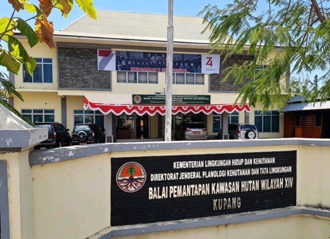 hari-lingkungan-hidup-sedunia-2026-bpkh-wilayah-xiv-kupang-saatnya-bergerak-nyata-menjaga-hutan-dan-iklim-dari-nusa-tenggara