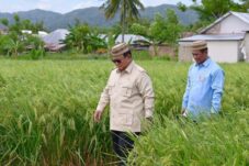 prabowo-terkesima-teknologi-pertanian-modern-di-gorontalo-yakin-indonesia-bisa-jadi-lumbung-pangan-dunia
