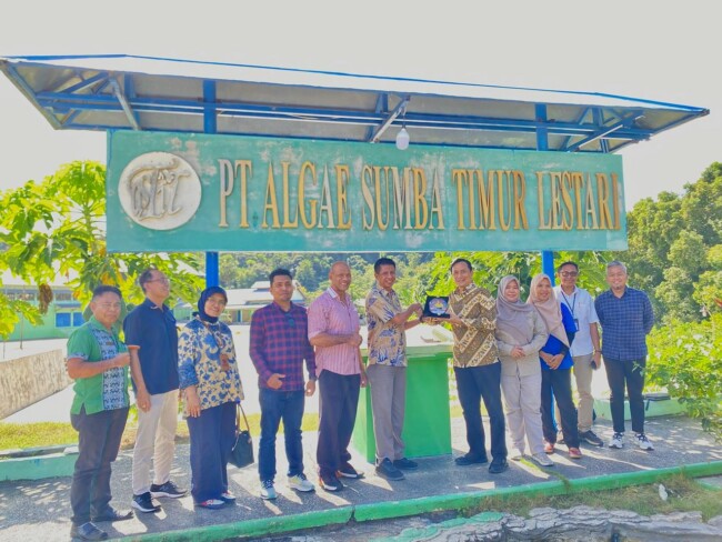 Perkuat Ekonomi Daerah, PT Jamkrindo Gandeng Pemkab Sumba Timur Dukung Program Asta Cita 2 perkuat-ekonomi-daerah-pt-jamkrindo-gandeng-pemkab-sumba-timur-dukung-program-asta-cita