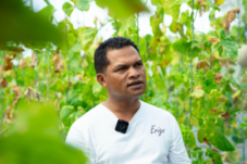 alumni-undana-sulap-lahan-kering-ntt-dengan-teknologi-iot-omzet-tembus-ratusan-juta-dan-jadi-penopang-petani-lokal